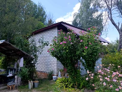 будинок за адресою с. Березанка, Бузкова, 11