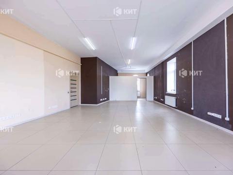 комерційна за адресою Шевченка вул., 146