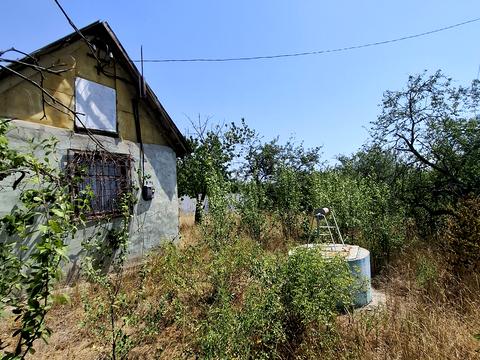 дом по адресу Платанова