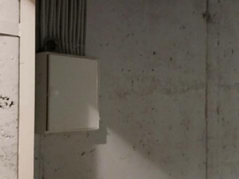 комерційна за адресою Західна вул., 10