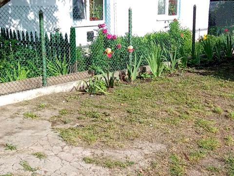 дом по адресу Центральна