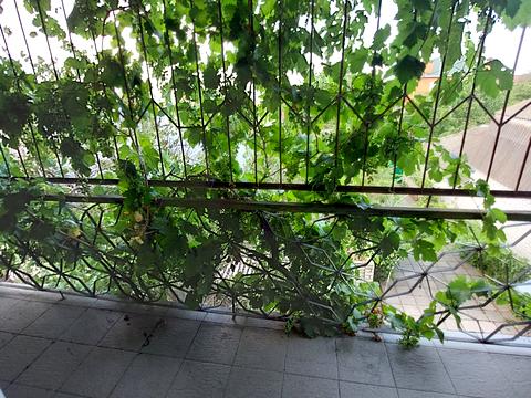 будинок за адресою Купорна вул., 94