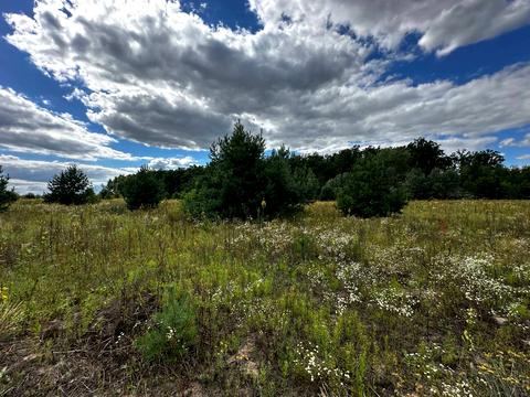 участок по адресу 