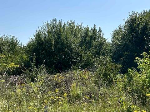 участок по адресу с. Стуфчинцы, Платонівська