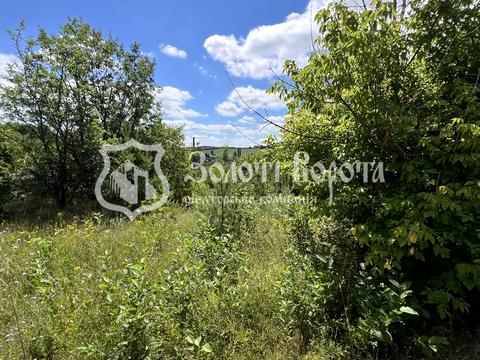 ділянка за адресою с. Нові Безрадичі, Капустяна, 1