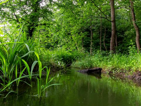 ділянка за адресою Пироговська вул.