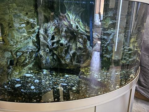 дом по адресу Львовская ул., 3Д/2