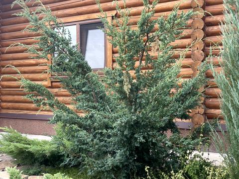 дом по адресу Олеся Гончара, 15