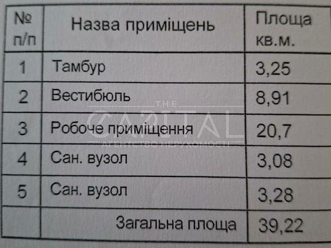 комерційна за адресою Єлизавети Чавдар вул., 2