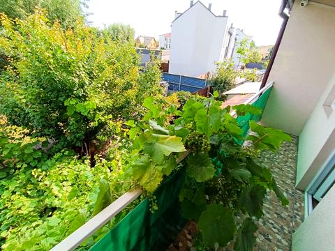 комерційна за адресою с. Гнідин, Централь, 46