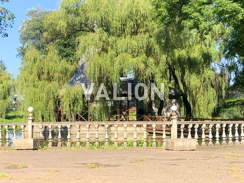 участок по адресу с. Оршевцы, Незалежності, 126