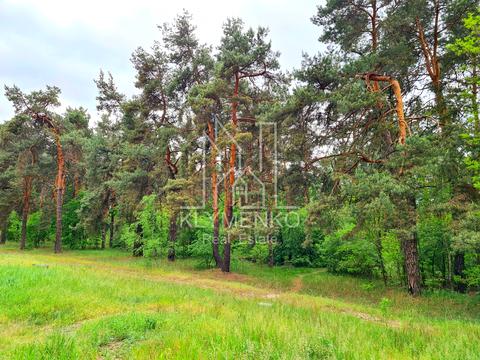 квартира за адресою Чорних Запорожців вул. (Петра Запорожця), 17