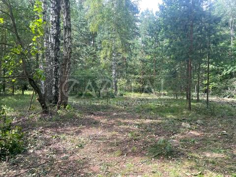 коммерческая по адресу Приморська, 3