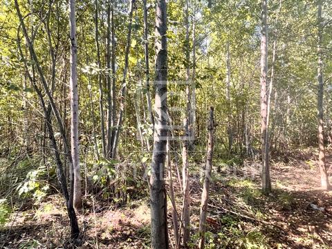 ділянка за адресою соборності