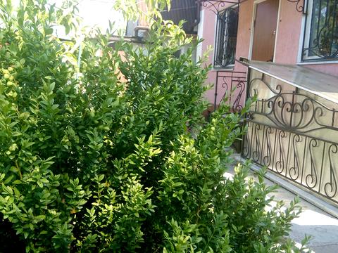 дом по адресу Рибальська