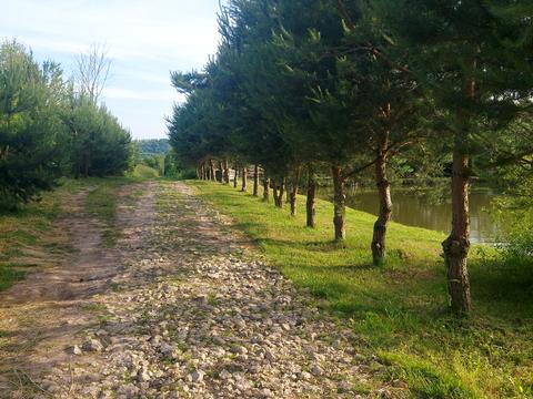 дом по адресу Жасминова, 40