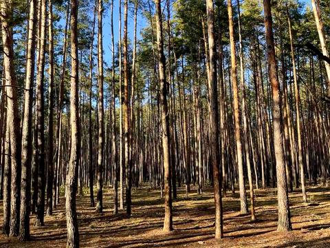 будинок за адресою Квіткова