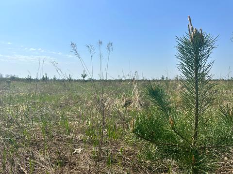 участок по адресу 