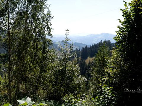 участок по адресу пгт. Верховина, 