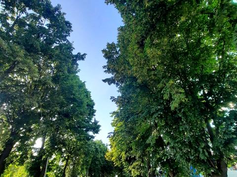 квартира по адресу Одеське шосе, 18