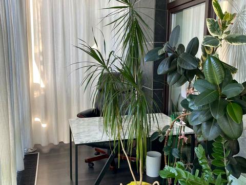 квартира по адресу Сергея Данченко ул., 14