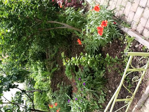 квартира по адресу Академика Королёва ул., 43/2