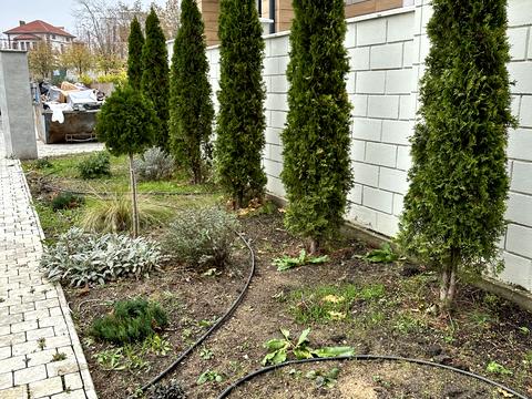 будинок за адресою Коралова вул., 8а