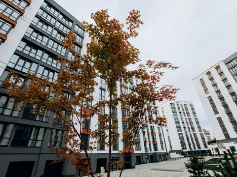 квартира по адресу Гетмана Мазепы ул., 164, к3