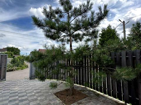 будинок за адресою Микитенка