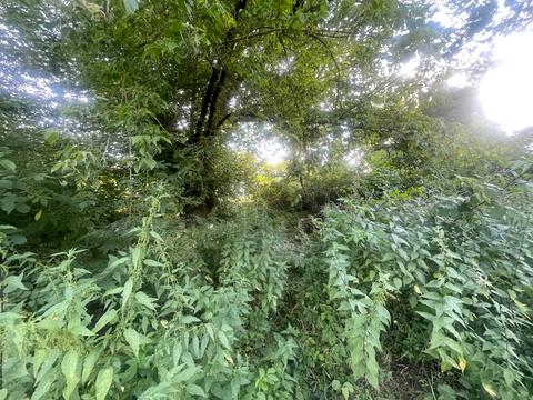 ділянка за адресою Хмельницький, Вінницьке шосе