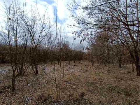 коммерческая по адресу Борців За Волю України ул. (Миру), 6