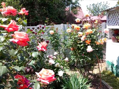 будинок за адресою Школьная, 7а