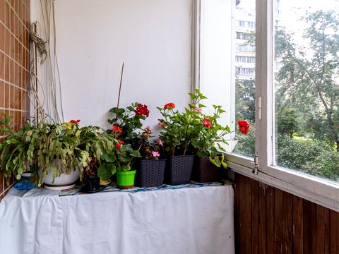 квартира за адресою Північна вул. (Північна), 54-В