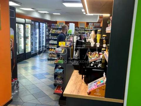 комерційна за адресою Гетьмана Павла Скоропадського вул. (Льва Толстого), 11/61