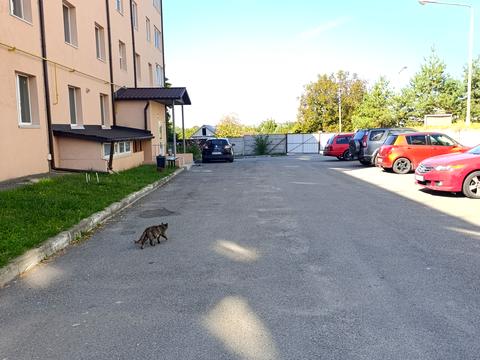 квартира за адресою Центральна вул., 17-Е