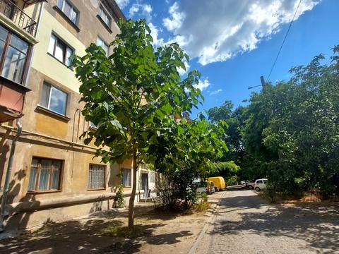 квартира за адресою Адміральська вул., 2а