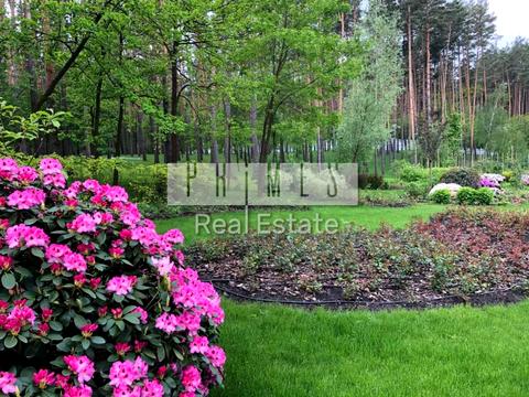 будинок за адресою с. Стоянка, вул. Осіння