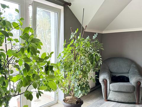 будинок за адресою Весняна, 12