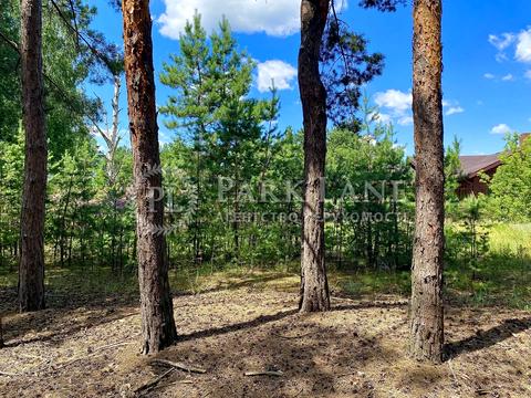 ділянка за адресою с. Підгірці, Новообухівське шосе