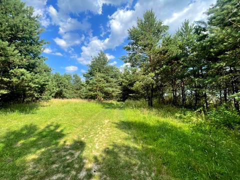 участок по адресу с. Борки, 