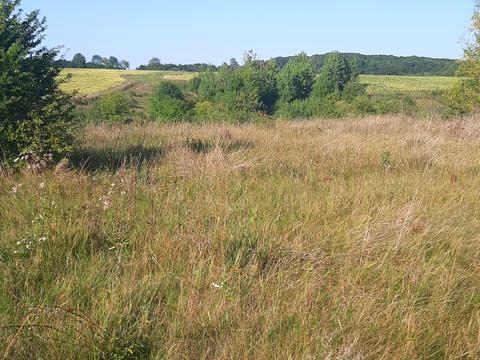 будинок за адресою Незалежності