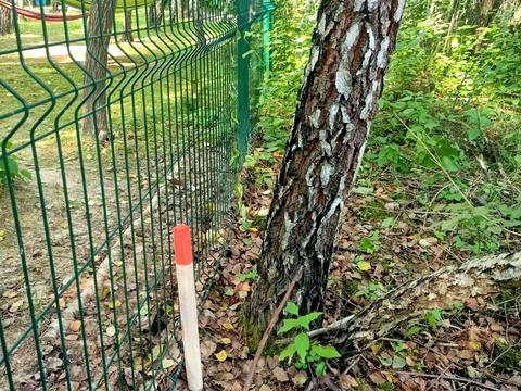 ділянка за адресою Михайла Зорія