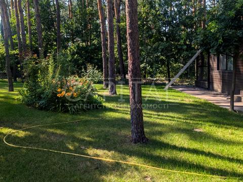 ділянка за адресою с. Ходосівка, Центральна