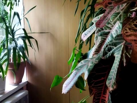 квартира за адресою Миколи Голего вул. (Лебедєва-Кумача), 7б