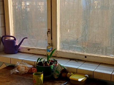 квартира по адресу Миропольская ул., 23/16