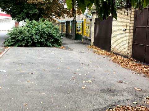 будинок за адресою Миколи Міхновського вул. (Ганни), 29
