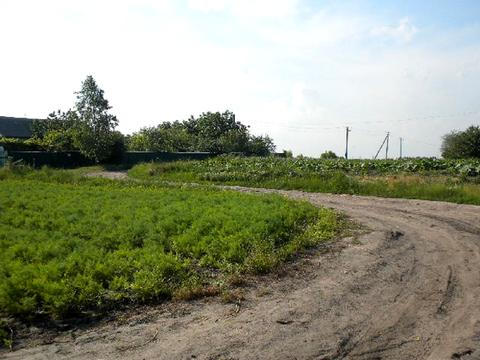 участок по адресу Шевченка
