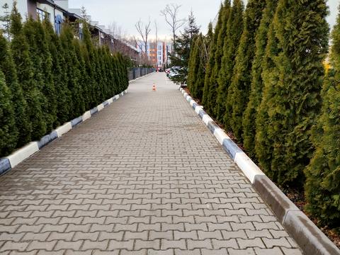 будинок за адресою Найкраща вул. (Ломоносова), 74