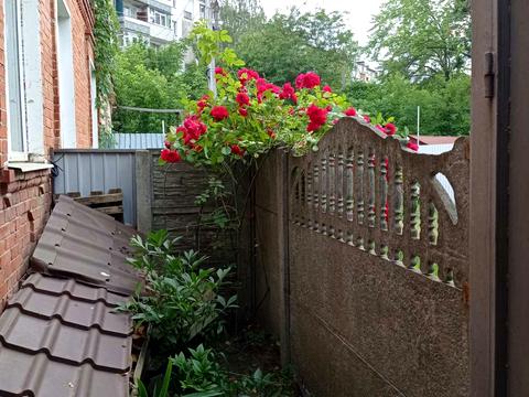 будинок за адресою Холодноярської Бригади вул. (Сумсько-Київських Дивізій)
