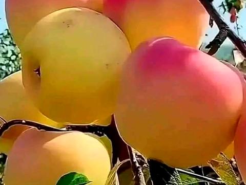 будинок за адресою 3-а Садова